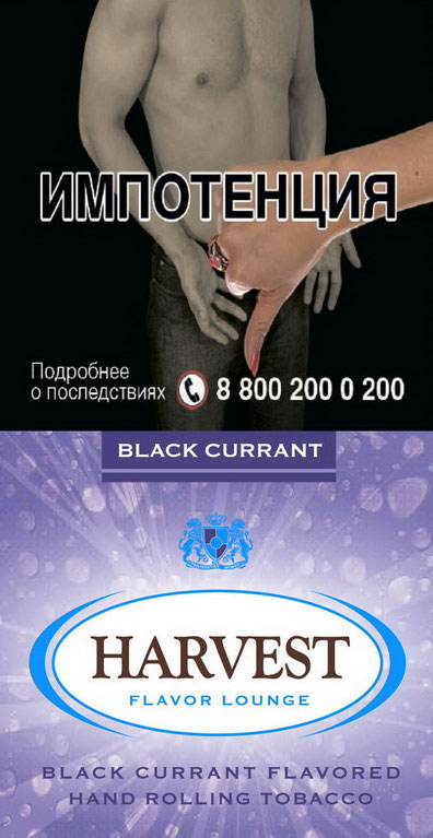 Курительный табак Harvest Black Currant