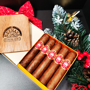 H.Upmann Half Corona